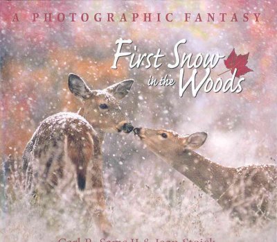 First snow in the woods : a photographic fantasy / Carl R. Sams II & Jean Stoick.