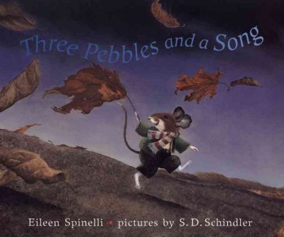 Three pebbles and a song / Eileen Spinelli ; pictures by S.D. Schindler.