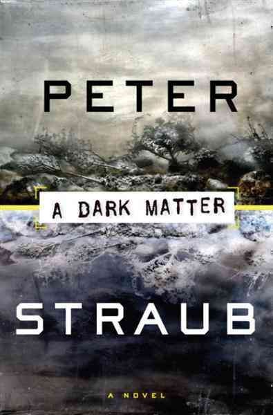 A dark matter [electronic resource] : a novel / Peter Straub.
