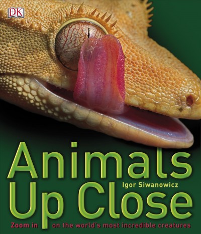Animals up close [electronic resource] : zoom in on the world's most incredible creatures / Igor Siwanowicz.