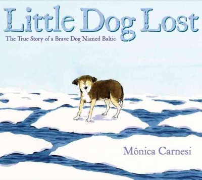 Little dog lost : the true story of a brave dog named Baltic / Mônica Carnesi.