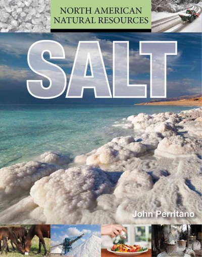 Salt / by John Perritano.