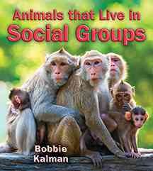 Animals that live in social groups / Bobbie Kalman.