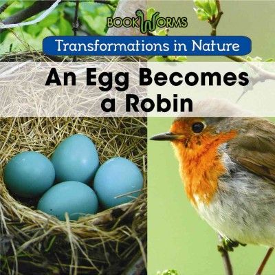 An egg becomes a robin / Amy Hayes.