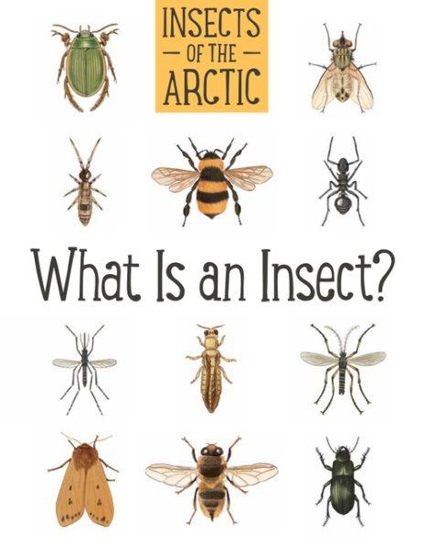 Insects of the arctic : what is an insect? / Carolyn Mallory, Amanda Sandland.