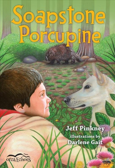 Soapstone porcupine / Jeff Pinkney ; illustrated by Darlene Gait.