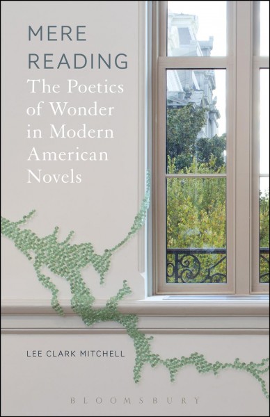 Mere reading : the poetics of wonder in modern American novels / Lee Clark Mitchell.