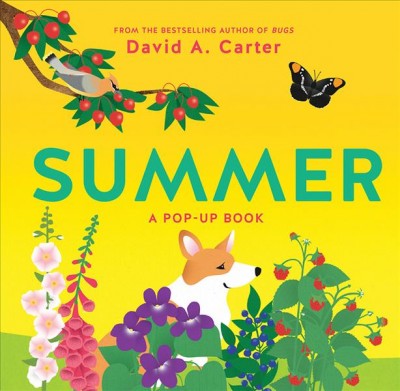 Summer : a pop-up book / David A. Carter.
