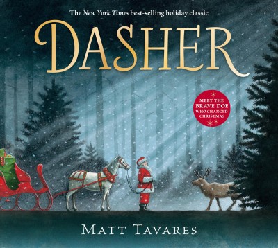 Dasher / Matt Tavares.