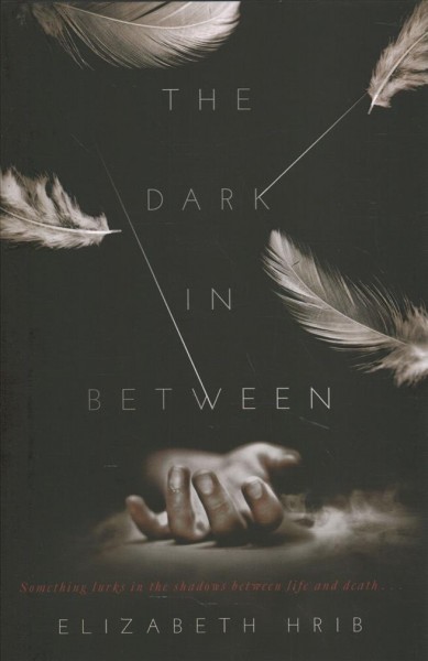 The dark in-between / Elizabeth Hrib.