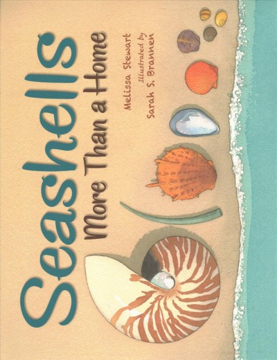 Seashells : more than a home / Melissa Stewart ; illustrated by Sarah S. Brannen.