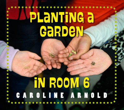Planting a garden in room 6 : from seeds to salad / written and photographed by Caroline Arnold.