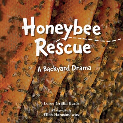 Honeybee rescue : a backyard drama / Loree Griffin Burns ; photography by Ellen Harasimowicz.