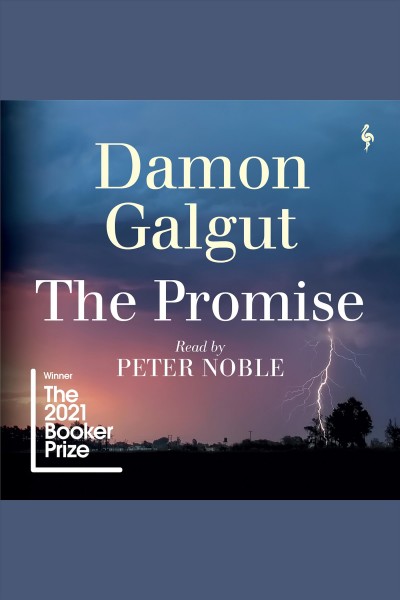 The promise [electronic resource] / Damon Galgut.
