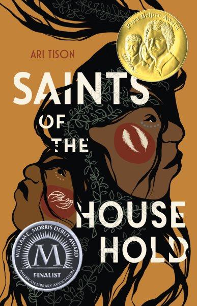 Saints of the household / Ari Tison.