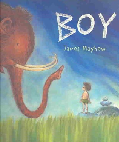 Boy / James Mayhew.