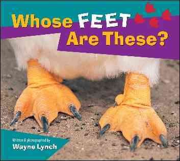 Whose feet are these? / written & photographed by Wayne Lynch.