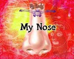 My Nose / Kathy Furgang.