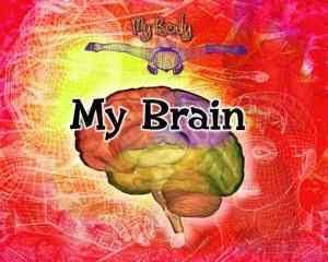 My Brain / Kathy Furgang.