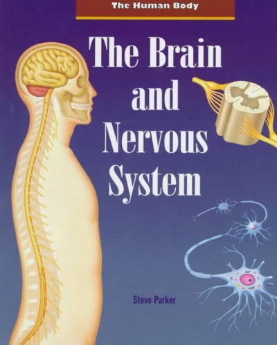 The brain and nervous system.