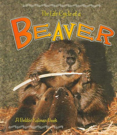 The life cycle of a beaver / Bobbie Kalman.