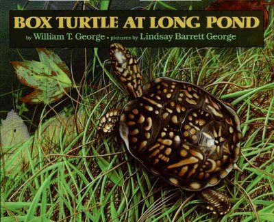 Box Turtle at Long Pond / William T. George ; pictures by Lindsay Barrett George.