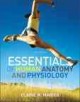 Go to record Essentials of human anatomy & physiology