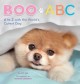 Boo ABC Cover Image