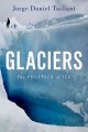 Go to record Glaciers : the politics of ice