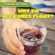 Go to record Why do ice cubes float?
