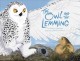 Go to record The owl and the lemming