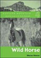 Go to record Wild horse