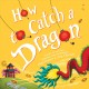 Go to record How to catch a dragon