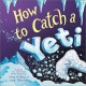 Go to record How to catch a yeti