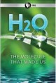 Go to record H2O : the molecule that made us