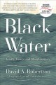Go to record Black Water : family, legacy, and blood memory