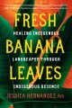 Fresh banana leaves : healing Indigenous landscapes through Indigenous science  Cover Image