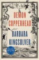 Demon Copperhead : a novel  Cover Image