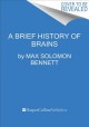 Go to record A brief history of intelligence : evolution, AI, and the f...